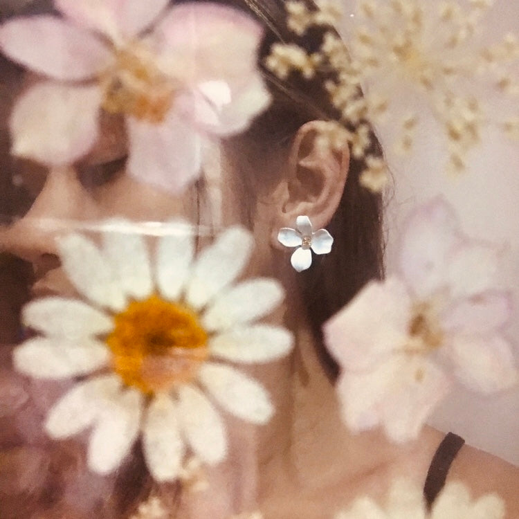the Primrose