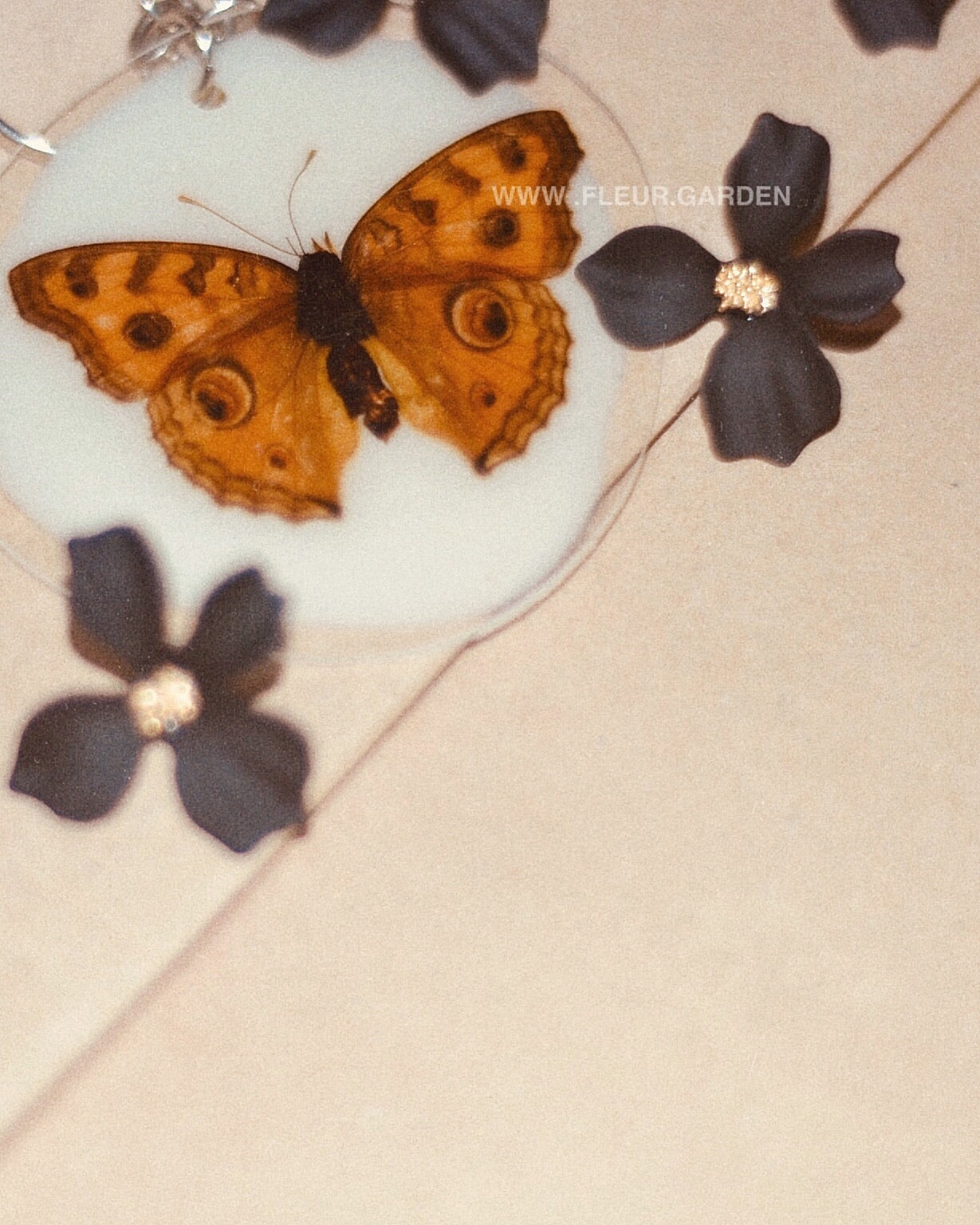 black primrose