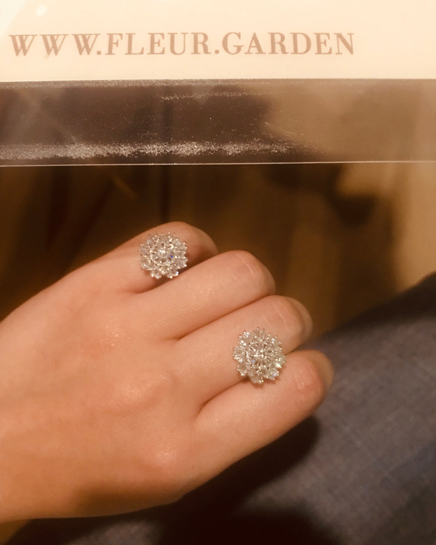the snowflake clip ons