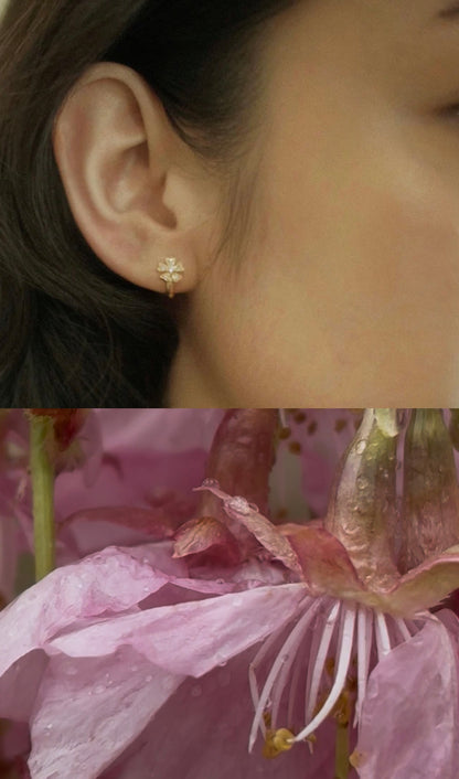 cherry blossom · tiny hoops